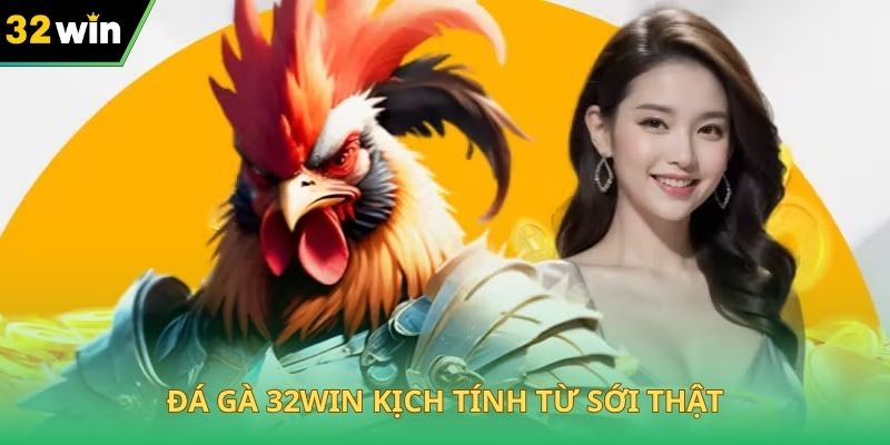 Đá gà 32WIN kịch tính từ sới thật