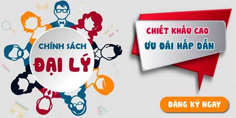 Hỗ trợ công cụ quảng bá cho đối tác phát triển