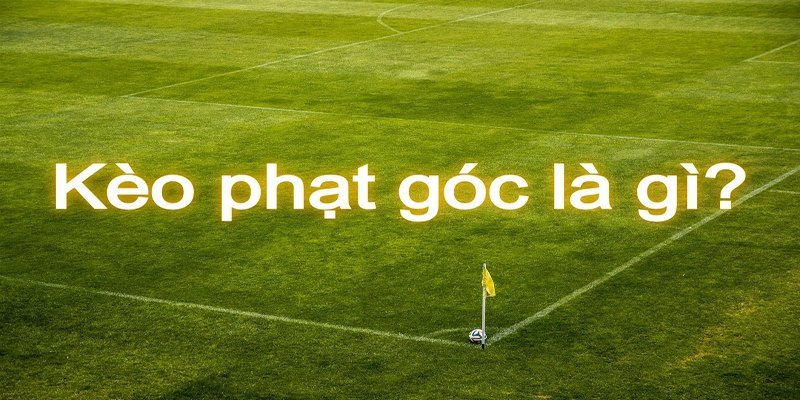 Khám phá điểm nổi bật khi cược góc
